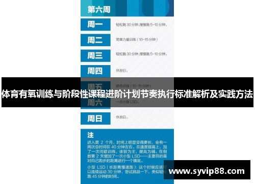 体育有氧训练与阶段性课程进阶计划节奏执行标准解析及实践方法