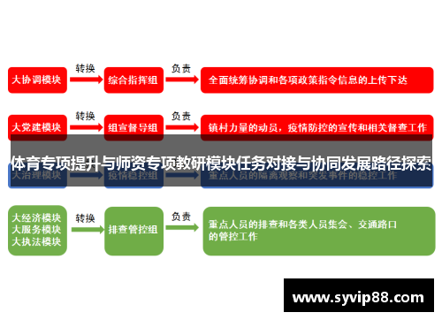 体育专项提升与师资专项教研模块任务对接与协同发展路径探索 体育专项提升与师资专项教研模块任务对接与协同发展路径探索