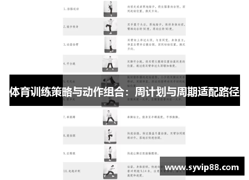 体育训练策略与动作组合：周计划与周期适配路径